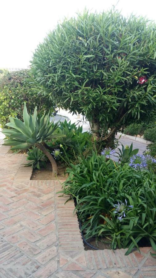 Apartamento Pinar De Montemar Apartment